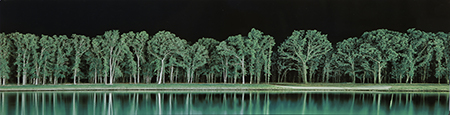 Green Trees by artist Derris Lanier